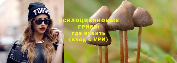 ПСИЛОЦИБИНОВЫЕ ГРИБЫ Алексеевка