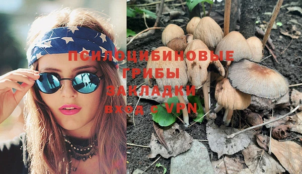 прущая мука Няндома